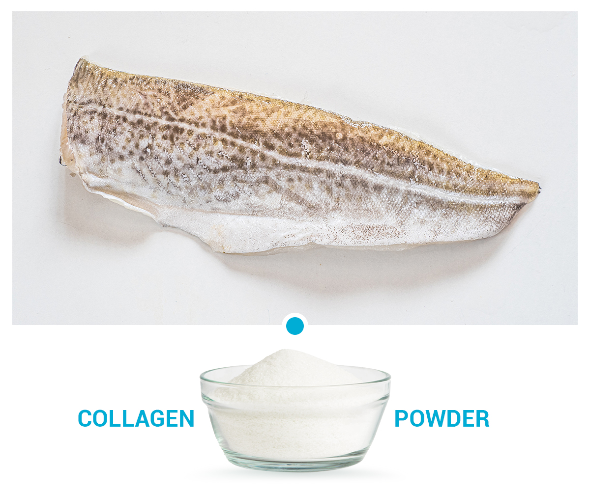 Cod Collagen Peptides